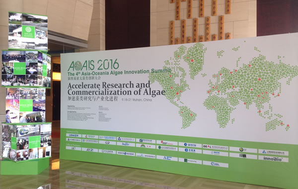 summit poster.jpg summit poster.jpg