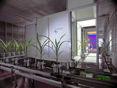 溫室型高通量3D植物表型平臺(tái)Scanalyzer 3D 溫室型高通量3D植物表型平臺(tái)Scanalyzer 3D