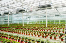 AgriPheno?平臺(tái)溫室 AgriPheno?平臺(tái)溫室