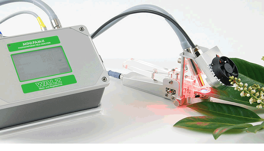 德國WALZ公司將攜最新產(chǎn)品參加第17屆國際光合大會3.gif 德國WALZ公司將攜最新產(chǎn)品參加第17屆國際光合大會3.gif