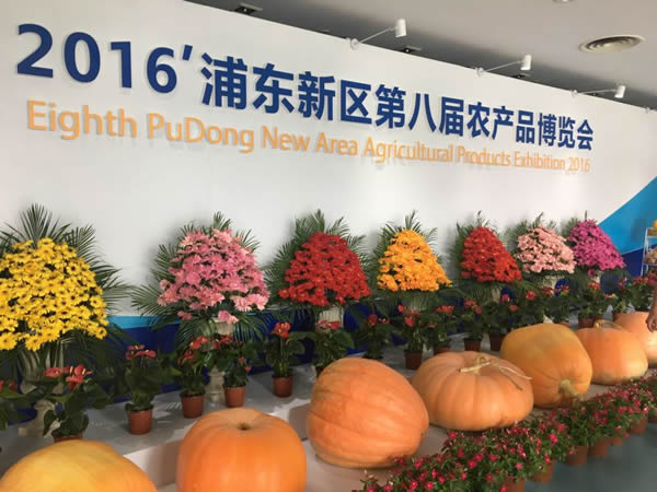 澤泉科技應(yīng)邀參加2016年浦東新區(qū)第八屆農(nóng)產(chǎn)品博覽會1.jpg 澤泉科技應(yīng)邀參加2016年浦東新區(qū)第八屆農(nóng)產(chǎn)品博覽會1.jpg