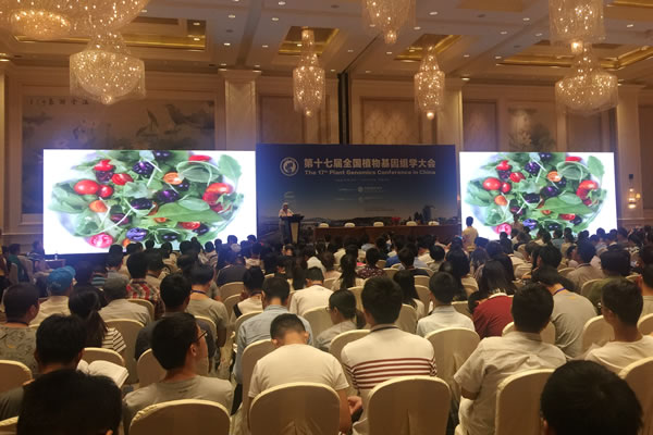 meeting room.jpg meeting room.jpg