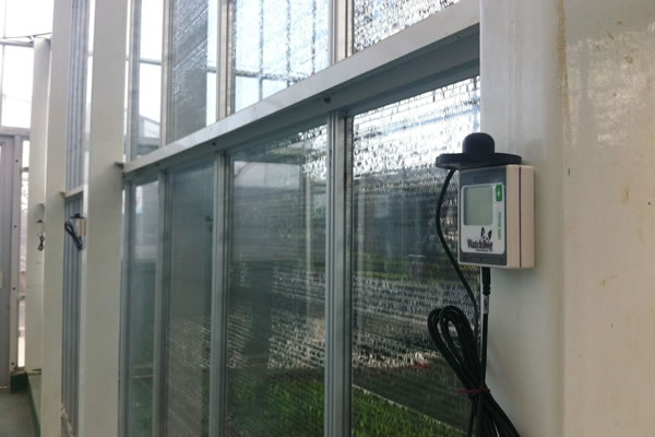 Spectrum 1450植物生長微型氣象站Agripheno玉米溫室應用實例3.jpg Spectrum 1450植物生長微型氣象站Agripheno玉米溫室應用實例3.jpg