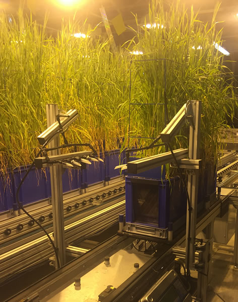 澤泉科技應(yīng)邀參加PhenoDays 20154.jpg 澤泉科技應(yīng)邀參加PhenoDays 20154.jpg