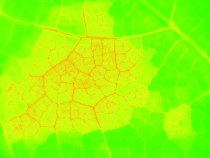 seite4b.jpg seite4b.jpg