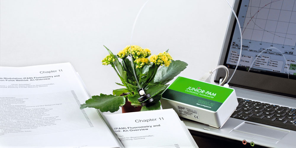 DSC_1016_CMYK-6.jpg DSC_1016_CMYK-6.jpg