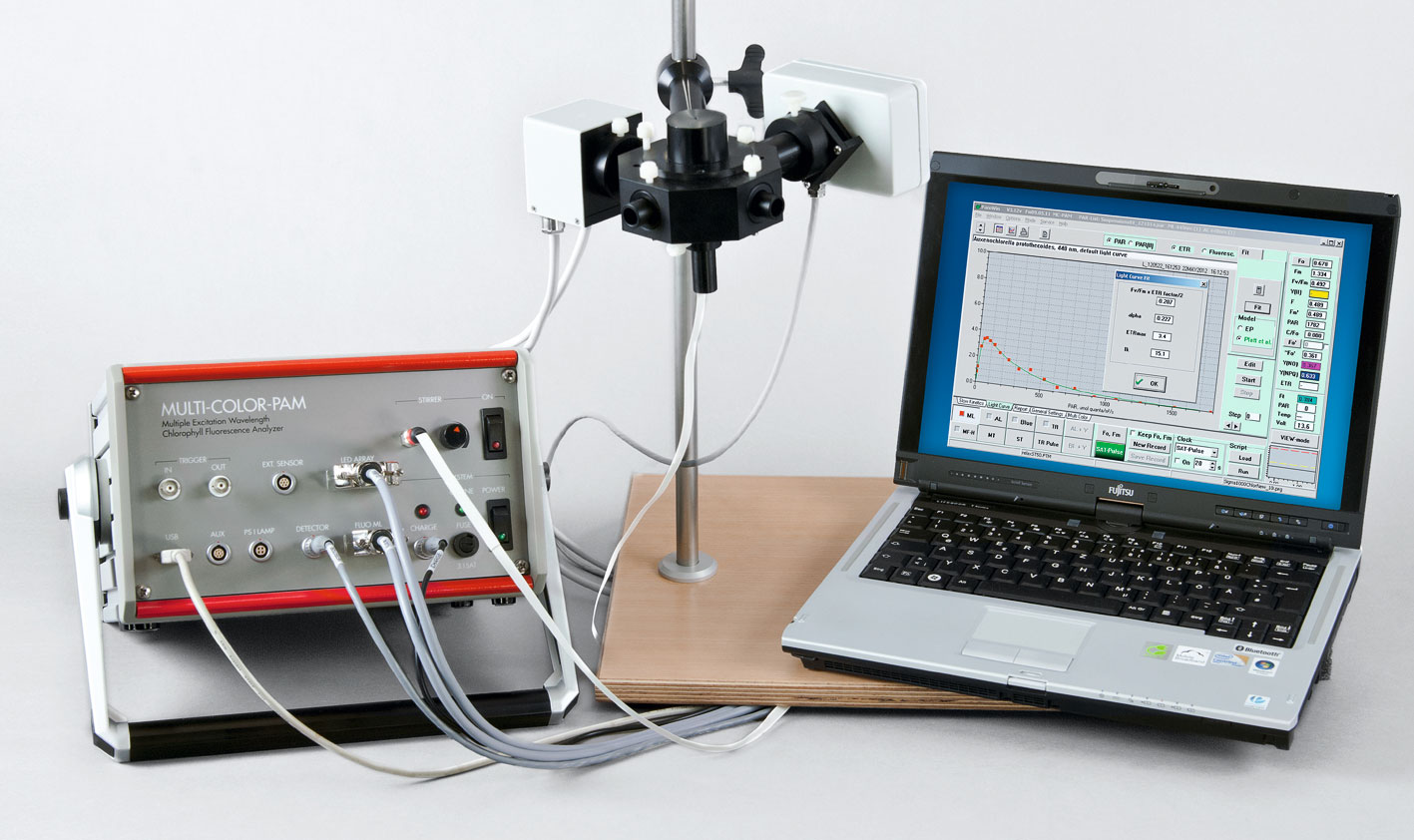 MC-1.jpg-1.jpg MC-1.jpg-1.jpg