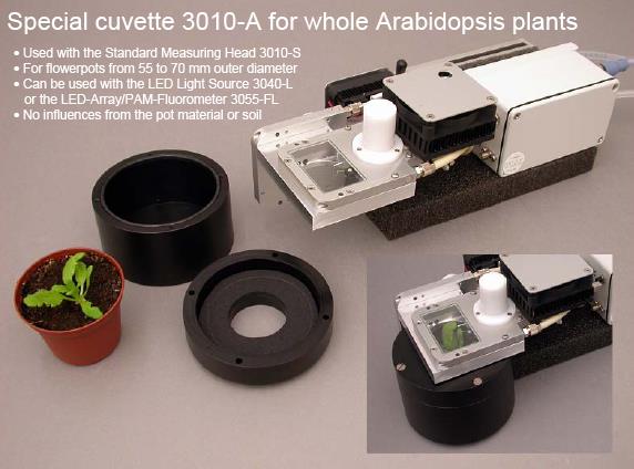 12121212.jpg 12121212.jpg