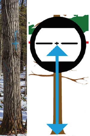 EC II D2.jpg EC II D2.jpg