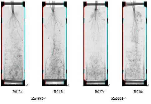 應(yīng)用案例二.JPG 應(yīng)用案例二.JPG