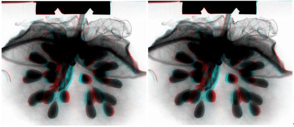 應(yīng)用案例七-2.JPG 應(yīng)用案例七-2.JPG