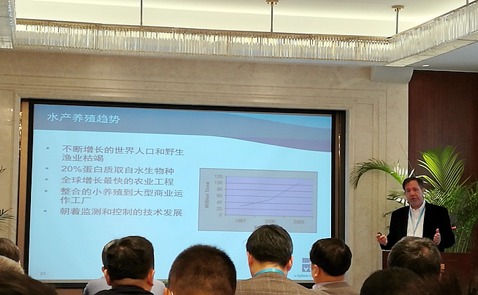 xylem030203.jpg xylem030203.jpg