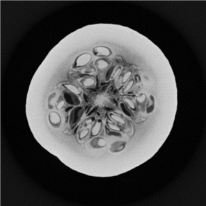 Pumpkin1_副本.jpg Pumpkin1_副本.jpg