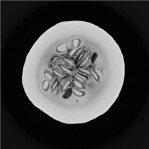 Pumpkin2_副本.jpg Pumpkin2_副本.jpg