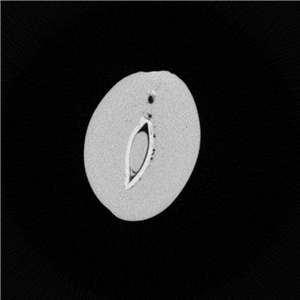 Garlic1_副本1.jpg Garlic1_副本1.jpg