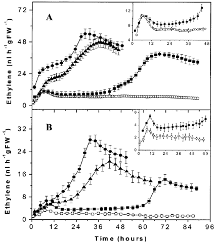 應用舉例-5.png 應用舉例-5.png