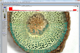 樣品制備-4.jpg 樣品制備-4.jpg