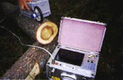 ImRa 02.jpg ImRa 02.jpg