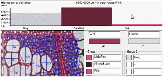 軟件特點(diǎn)-2.png 軟件特點(diǎn)-2.png