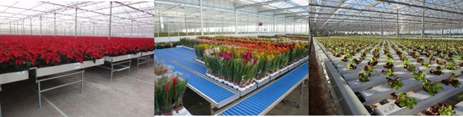 222222.jpg 222222.jpg