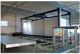 888888888.jpg 888888888.jpg