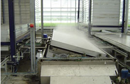 31414141414.jpg 31414141414.jpg