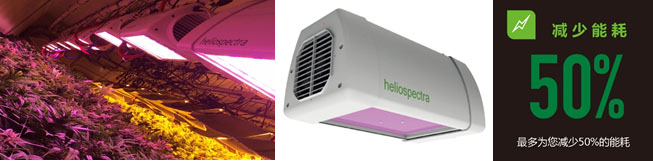 11111111111.jpg 11111111111.jpg