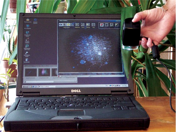 2860_41.jpg 2860_41.jpg