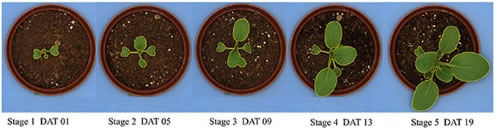 文章配圖.jpg 文章配圖.jpg