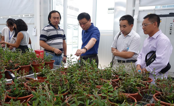 Agripheno17090101600.jpg Agripheno17090101600.jpg