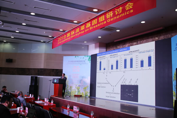 report600.jpg report600.jpg