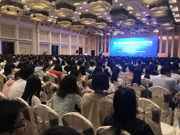 psbmeetingroom1805302.jpg psbmeetingroom1805302.jpg