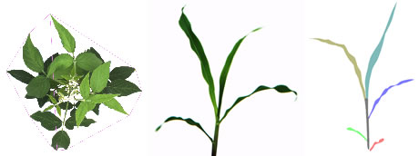 成像結(jié)果1.jpg 成像結(jié)果1.jpg