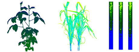 成像結(jié)果2.jpg 成像結(jié)果2.jpg