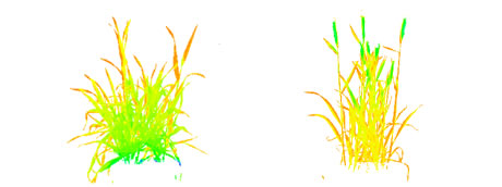 成像結(jié)果3.jpg 成像結(jié)果3.jpg