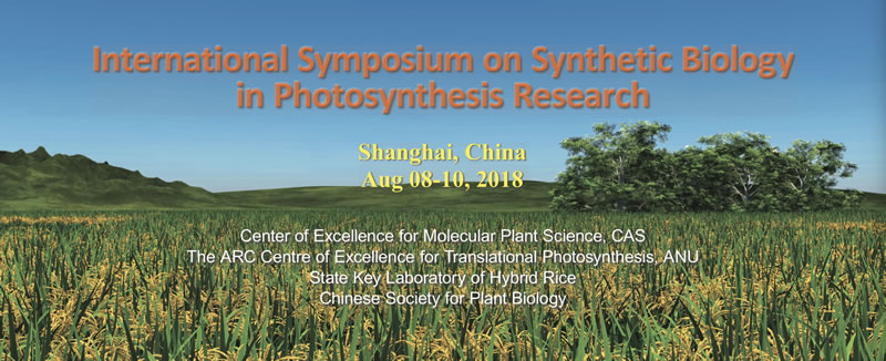 Background800.jpg Background800.jpg