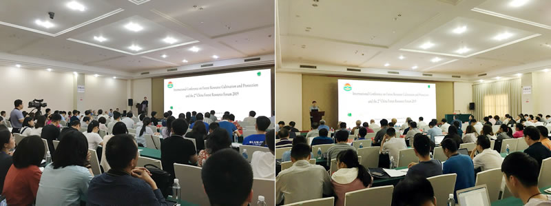 開幕式及致辭.jpg 開幕式及致辭.jpg