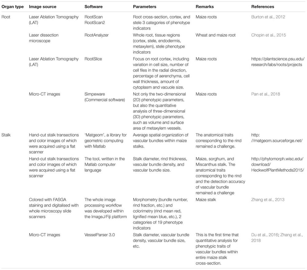 表2190619s.jpg 表2190619s.jpg