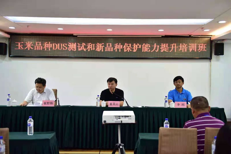 圖1190813.jpg 圖1190813.jpg