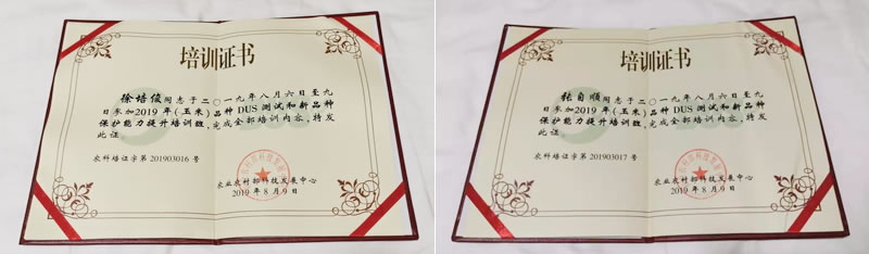 圖4190813.jpg 圖4190813.jpg