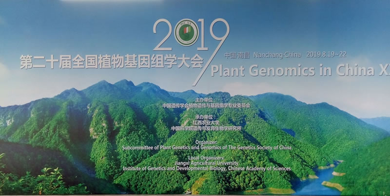 圖1190826.jpg 圖1190826.jpg