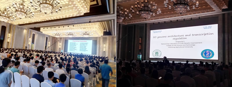 圖2190826.jpg 圖2190826.jpg