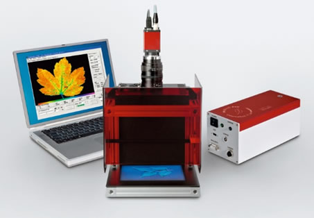 圖3190913.jpg 圖3190913.jpg