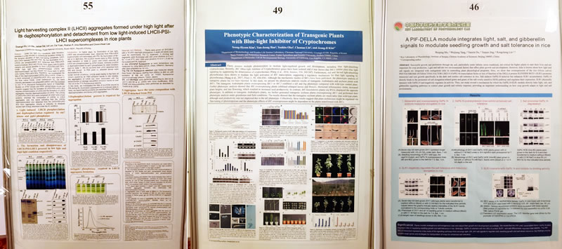 海報800.jpg 海報800.jpg