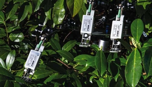 19100804.jpg 19100804.jpg