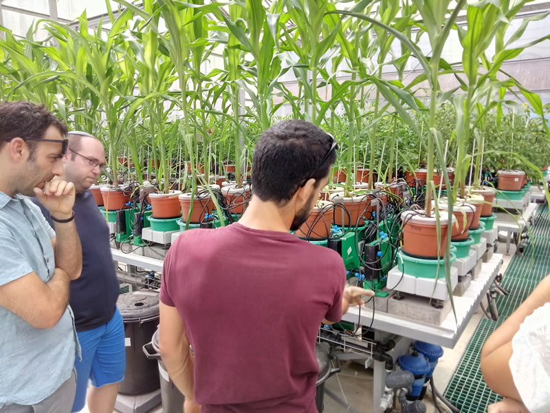 以色列Plant-DiTech公司介紹與希伯來(lái)大學(xué)羅伯特·史密斯農(nóng)業(yè)食品和環(huán)境學(xué)院溫室合作研究項(xiàng)目.jpg 以色列Plant-DiTech公司介紹與希伯來(lái)大學(xué)羅伯特·史密斯農(nóng)業(yè)食品和環(huán)境學(xué)院溫室合作研究項(xiàng)目.jpg