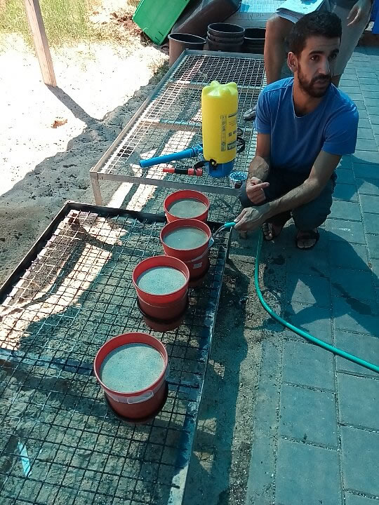 Amir Mayo講解Plantarray裝土灌溉過(guò)程.jpg Amir Mayo講解Plantarray裝土灌溉過(guò)程.jpg