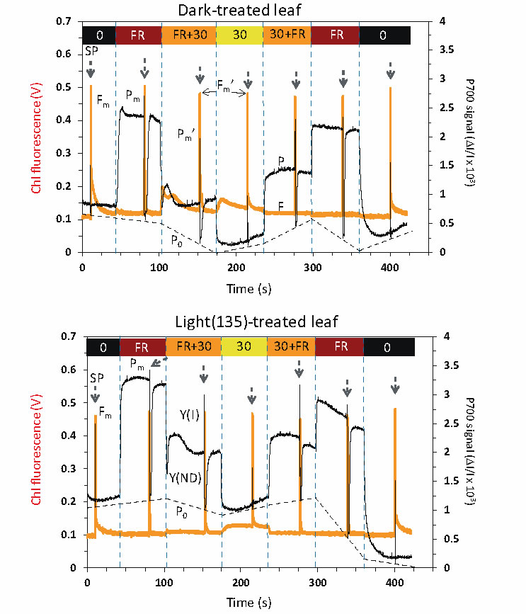 圖1191024.jpg 圖1191024.jpg