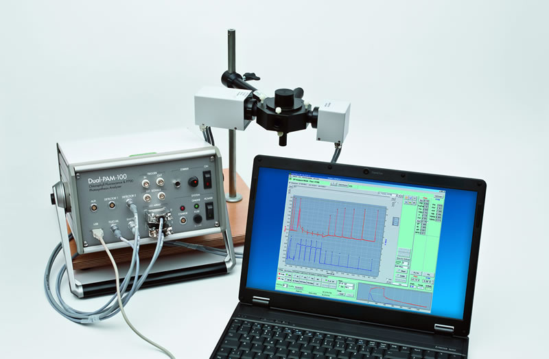 dual-pam-100191024.jpg dual-pam-100191024.jpg