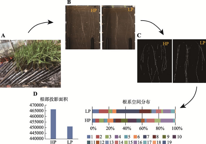 圖2191120.jpg 圖2191120.jpg